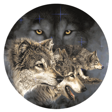 Globe loups
